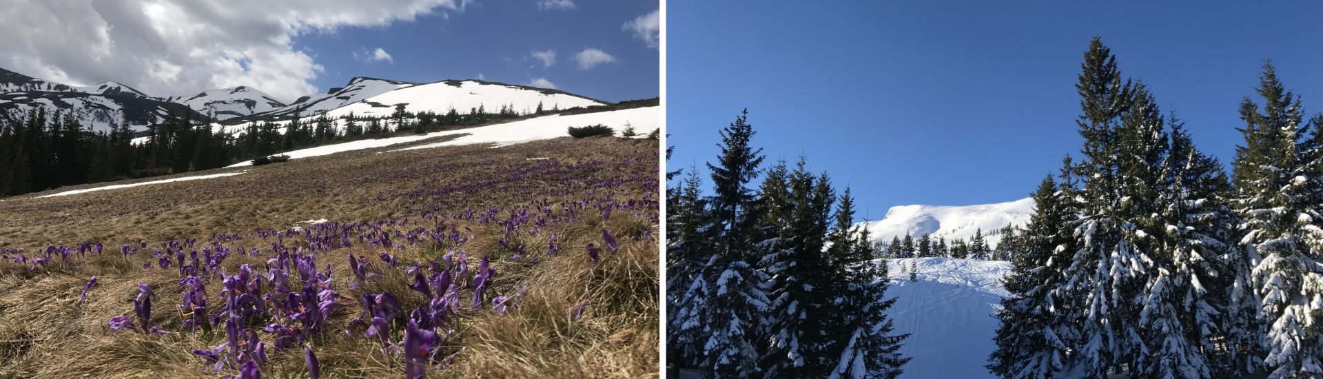 Автобусный тур будние 2 (1)